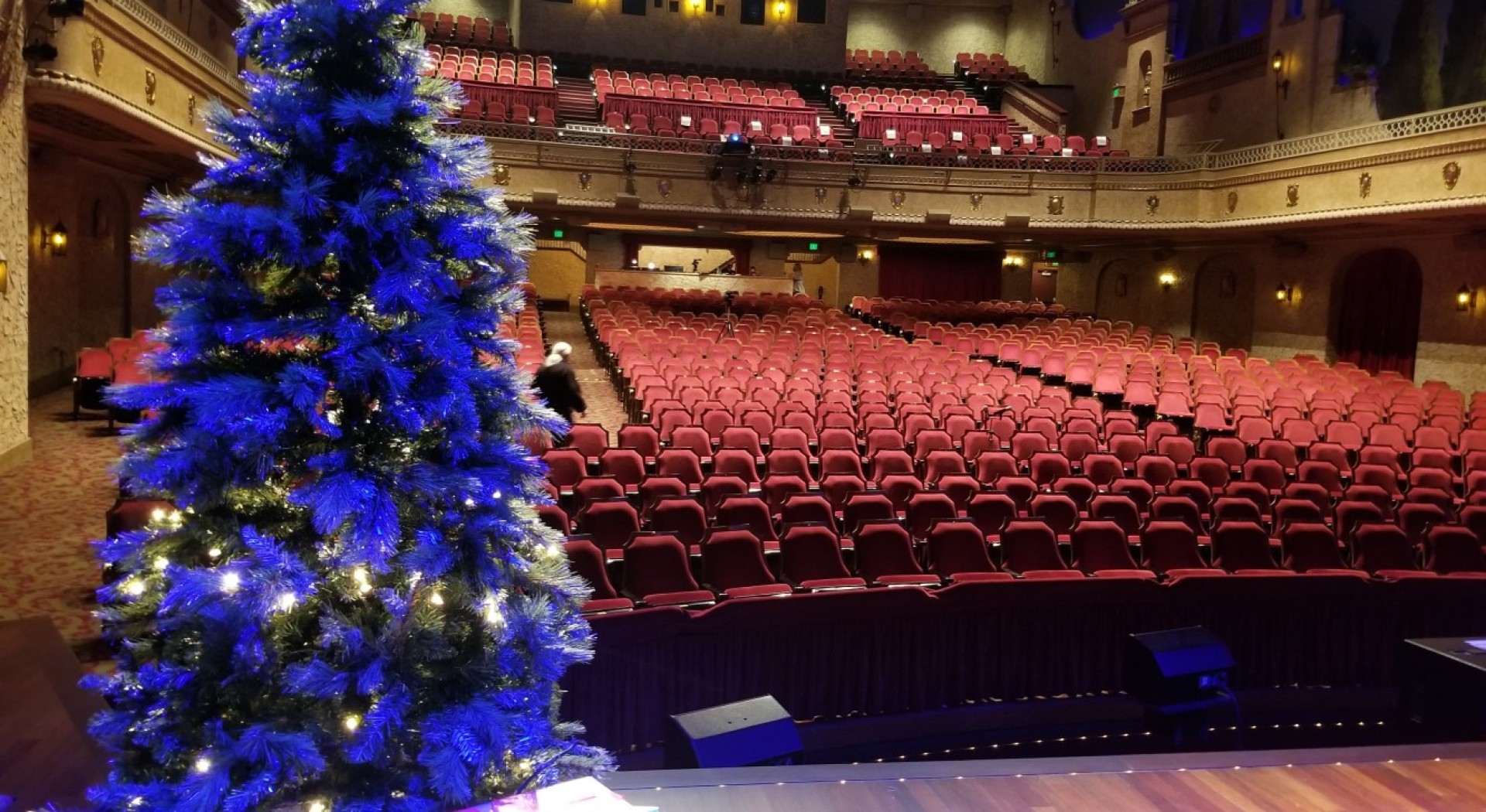 christmas tree2